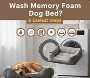 Can You Wash Memory Foam Dog Bed 6 Easiest Steps to Clean it At Home