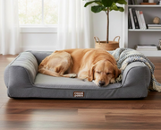 Is a Memory Foam Dog Bed Worth It? Pros & Cons You Should Know