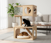 cat house