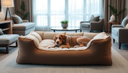 2026 Human Dog Bed Trends: Innovations & Market Insights