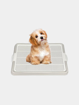Dog Toilet Training Pad