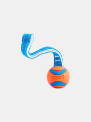 Dog Training Shock Collar