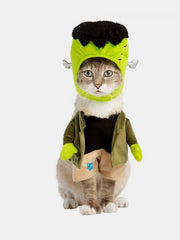 Pirate Style Pet Outfit