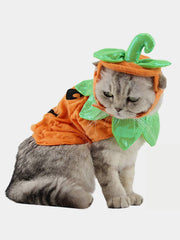 Cool Jacket Pet Outfit