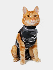 Cool Jacket Pet Outfit