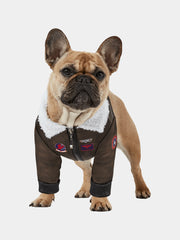 Dragon Pet Party Outfit