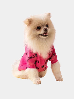 Pink Dress Dog Outfit