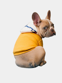Yellow Hoodie Pet Coat