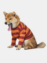 Formal Suit Dog Outfit