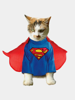 Superhero Pet Costume